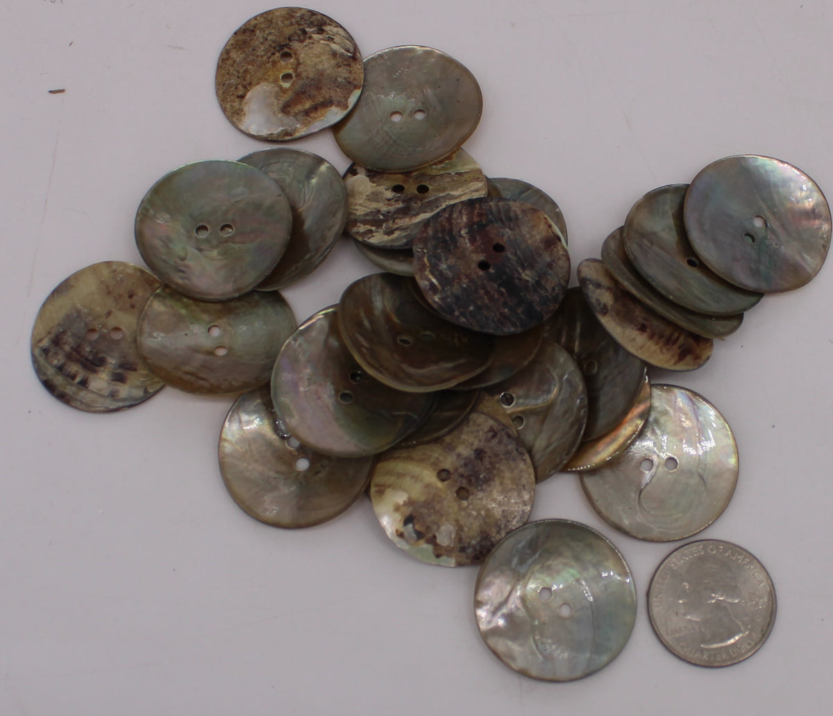 button mother of pearl akoya shell 2 hole – Laughing Woman Crafts ...