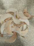 shell pendant crescent moon large 2 holes