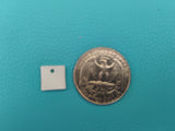 shell pendant white tiny square