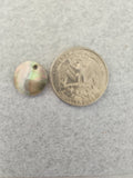 shell black lip pendant 14mm small round
