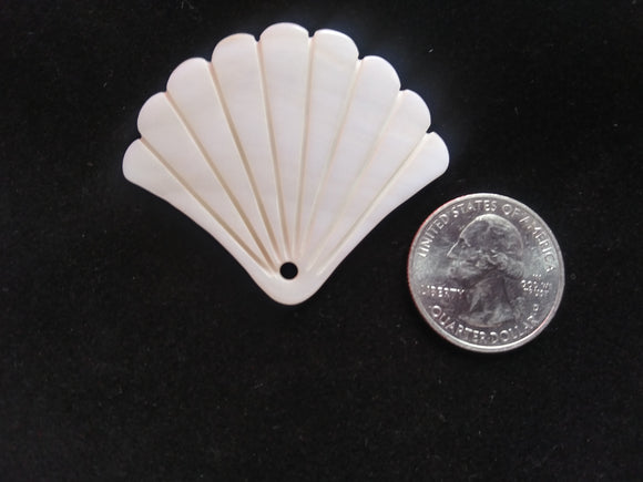 shell pendant large fan
