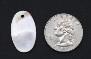 Shell pendant oval small