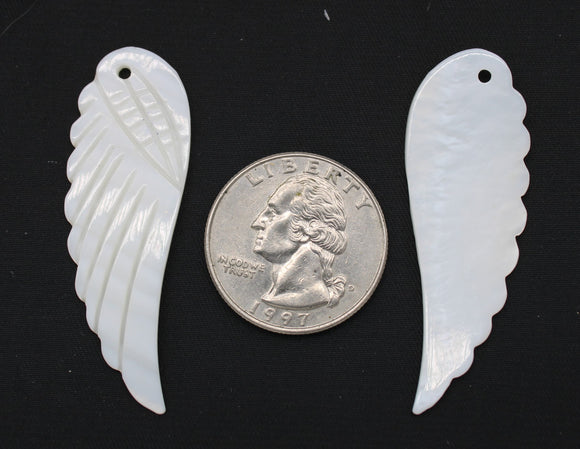 Shell pendant carved wing