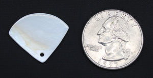Shell pendant small fan