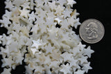 shell beads small star