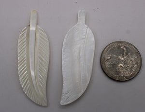 shell cabochon feather